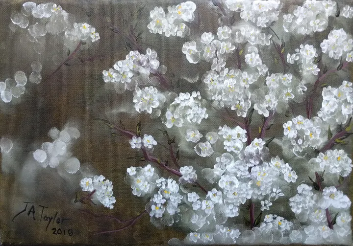 Firethorn Blossoms (2018), oil on canvas by Julia Anne Taylor