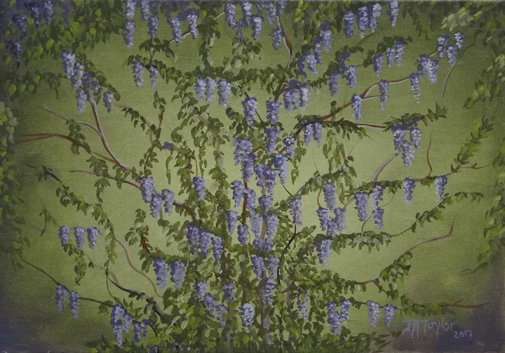 Wisteria II (2017), oil on canvas by Julia Anne Taylor
